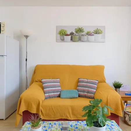 Bella Vista - Cactus * 푸에르토 델 카르멘