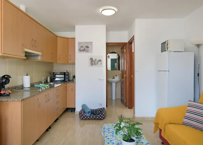 Bella Vista - Cactus Puerto del Carmen (Lanzarote)